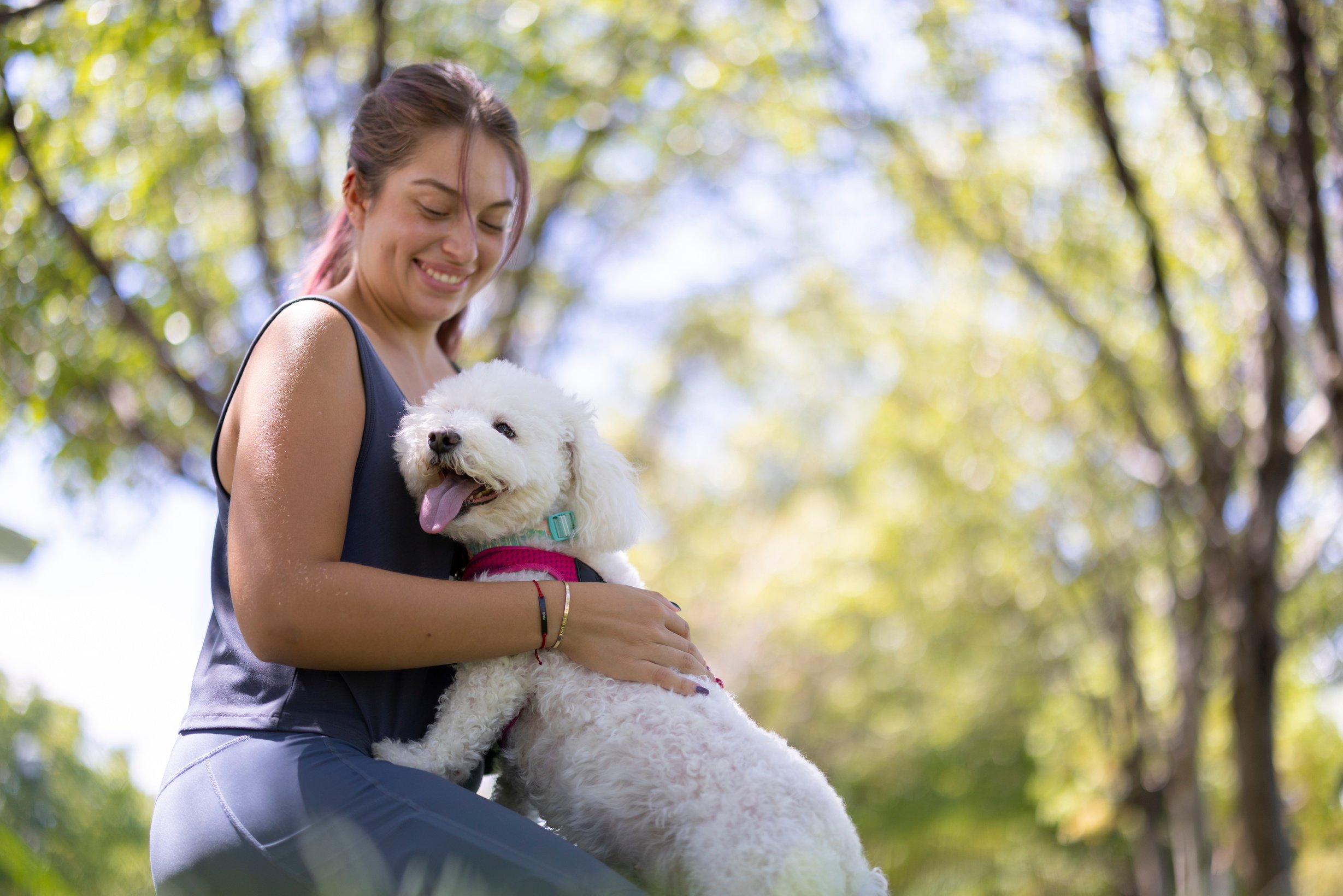 Dog and Owner